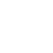 ROI Icon